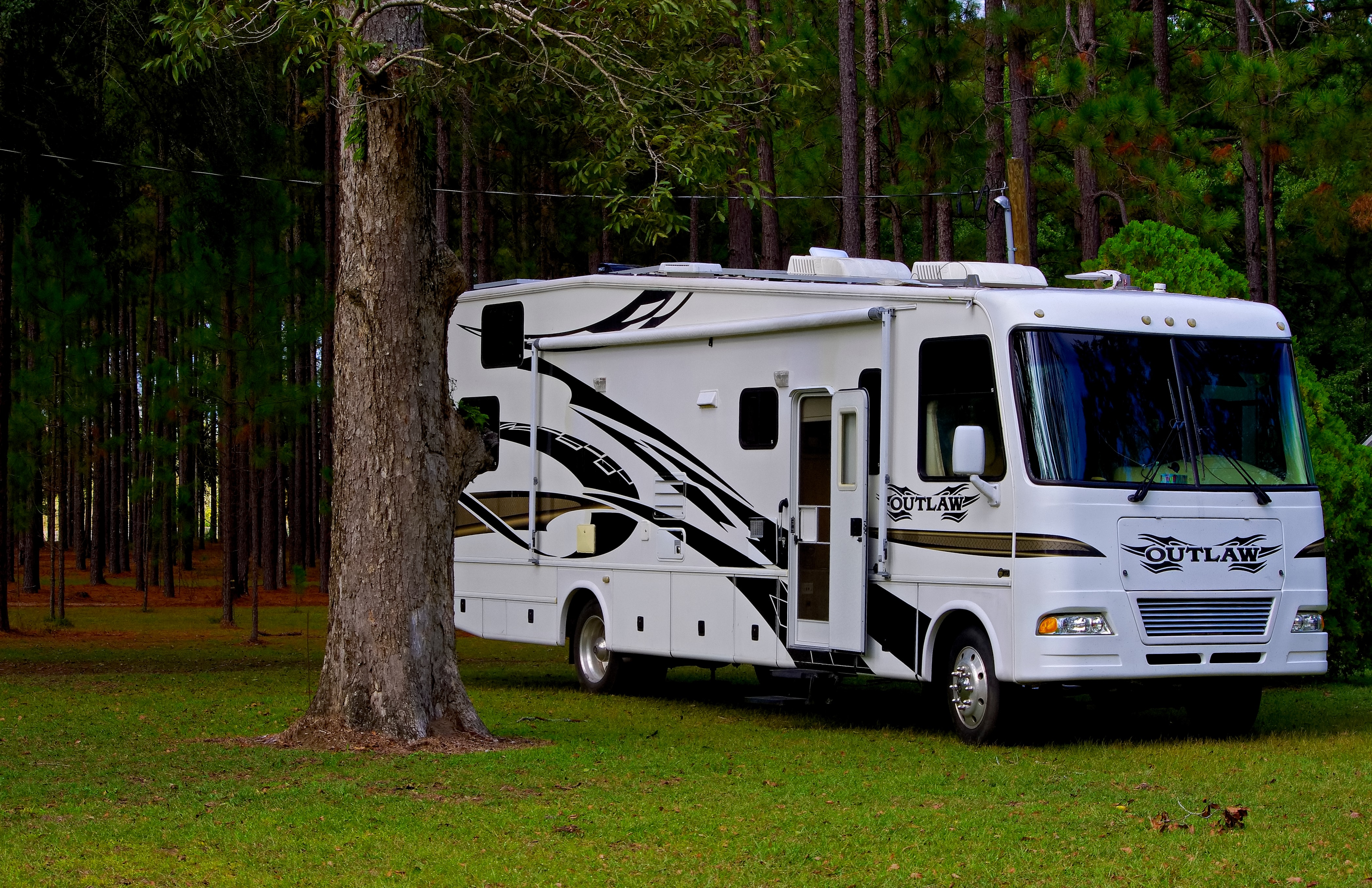 Drivers License Requirements for RV driving by State